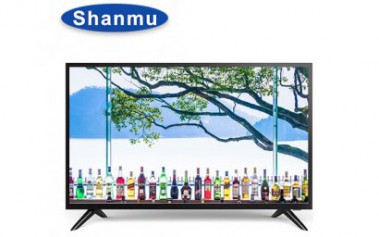 Is it good to buy a TV or a good LCD?